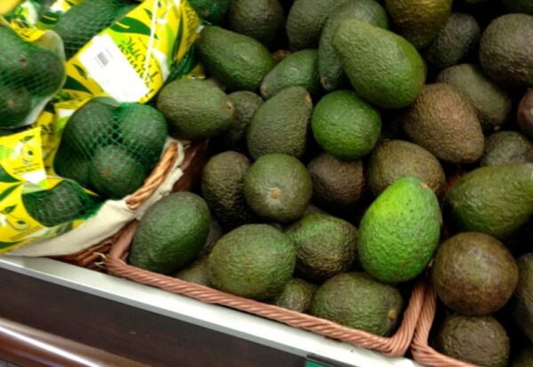 Avocat Turc